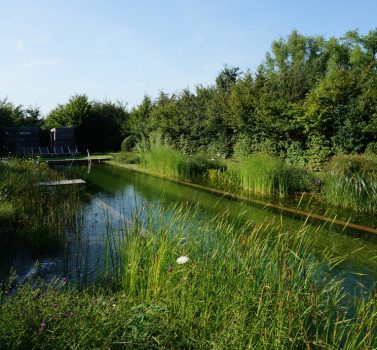 Biotop Eco Zwemvijver Genk